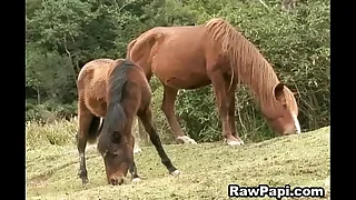 117 stud porn videos